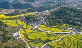 乡村美景大爆料视频下载,视频带你领略田园风光无限